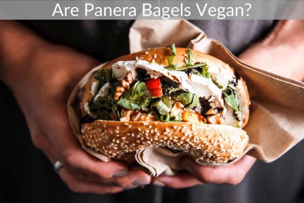 Are Panera Bagels Vegan?