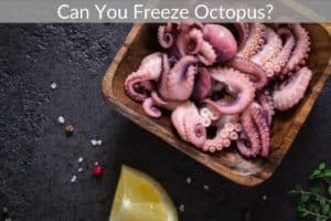 Can You Freeze Octopus?