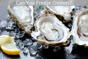 Can You Freeze Oysters?