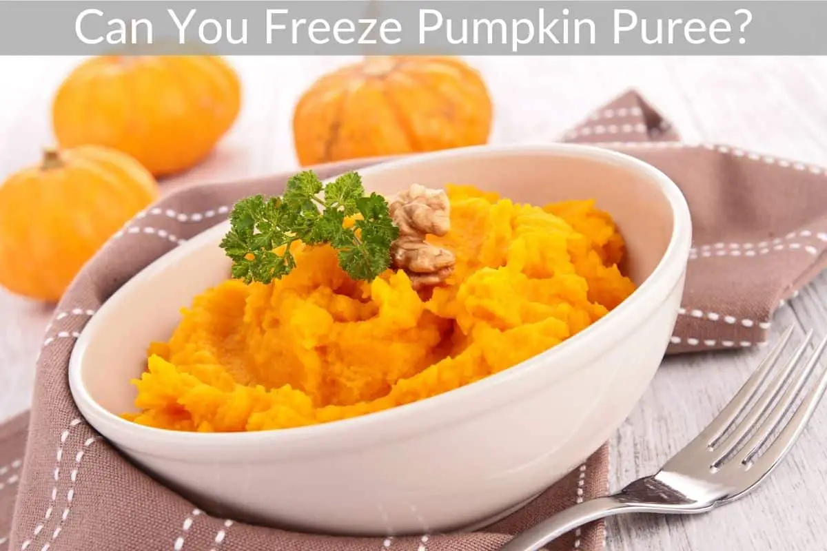 can-you-freeze-pumpkin-puree-geteatin