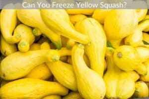 Can You Freeze Yellow Squash?
