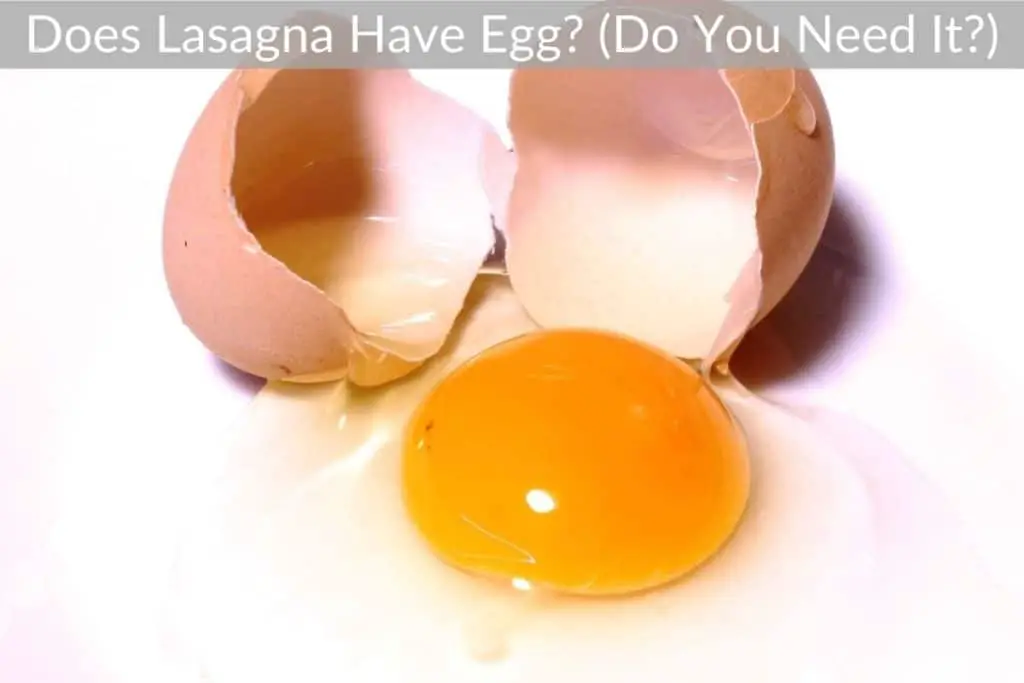Does Lasagna Have Egg? (Do You Need It?)