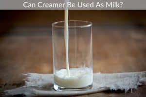 Can Creamer Be Used As Milk?
