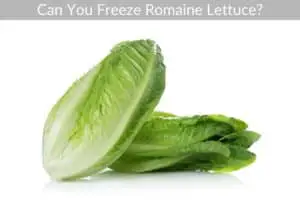 Can You Freeze Romaine Lettuce?