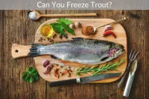 Can You Freeze Trout?