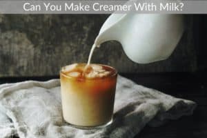 Can You Make Creamer With Milk?