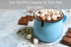 Can You Put Creamer In Your Hot Chocolate? 