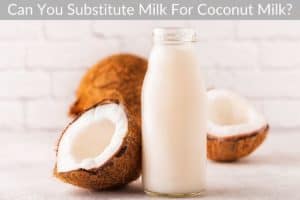 Can You Substitute Milk For Coconut Milk?