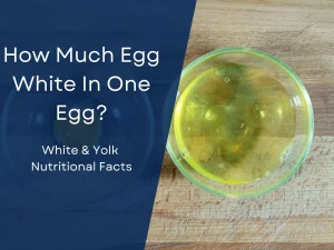 How Much Egg White In One Egg? (White & Yolk Nutritional Facts) Updated [month] [year]