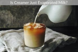 Is Creamer Just Evaporated Milk?
