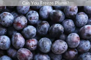 Can You Freeze Plums?