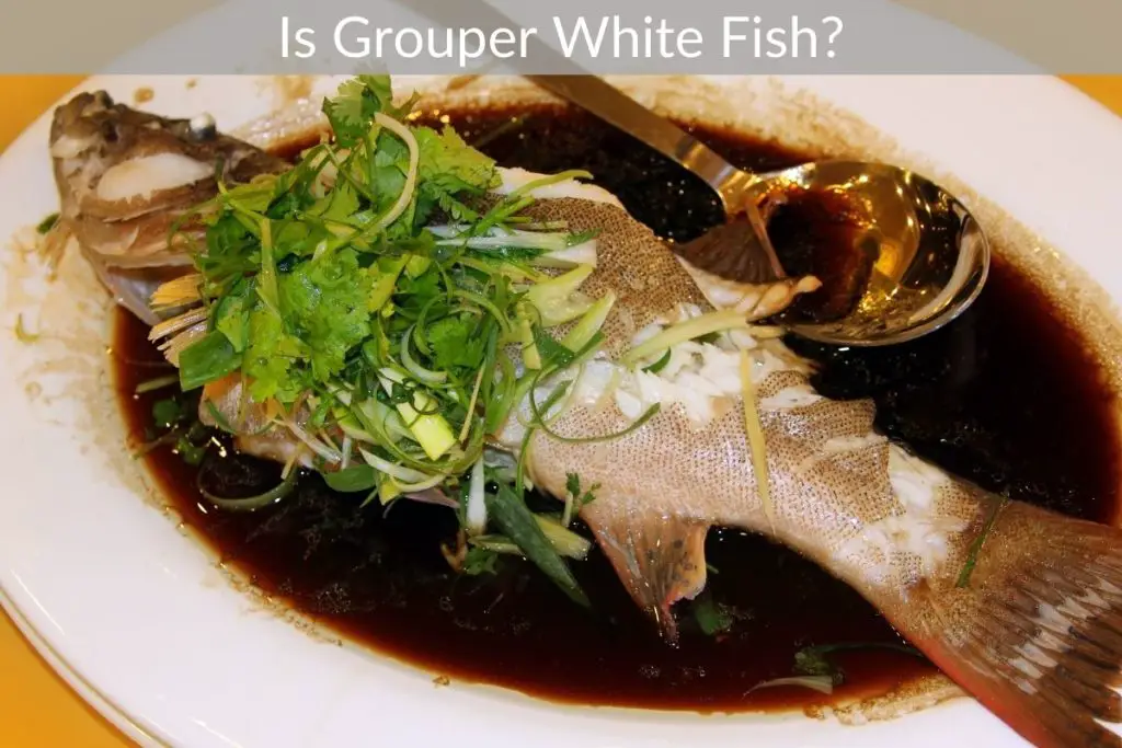 Is Grouper White Fish?