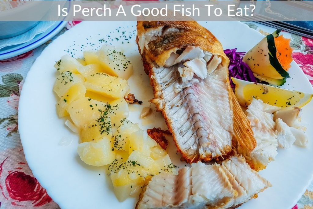 Is Perch A Good Fish To Eat? – Get Eatin’