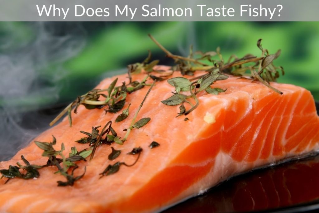 Why Does My Salmon Taste Fishy?