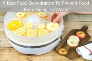 9 Best Food Dehydrators To Prevent Food From Going To Waste