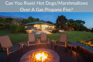 Can You Roast Hot Dogs/Marshmallows Over A Gas Propane Fire?