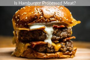 Is Hamburger Processed Meat?