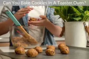 Can You Bake Cookies In A Toaster Oven?