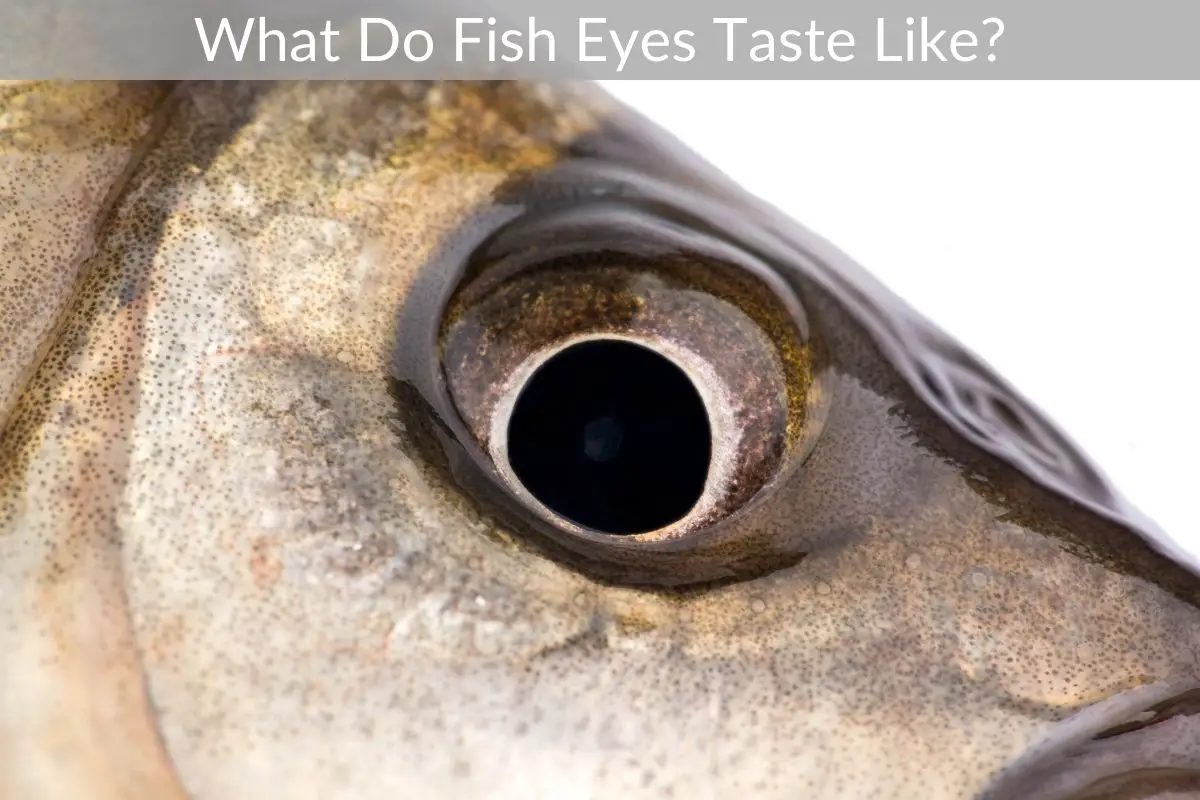 what-do-fish-eyes-taste-like-geteatin